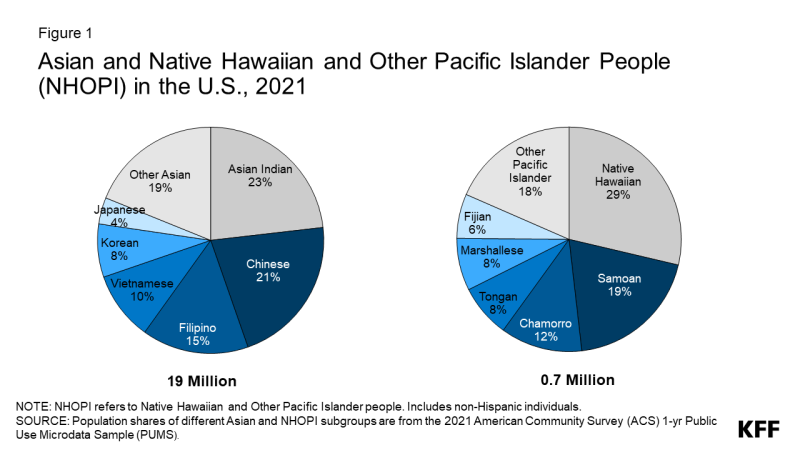 Figure 1 for Health Care Disparities Among Asian, Native Hawaiian, and Other Pacific Islander (NHOPI) People